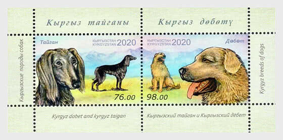 Kirgisistan -  Block Heimische Hunde: Dobet & Taigan  2020**   !top Motive!